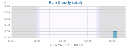 dayrain